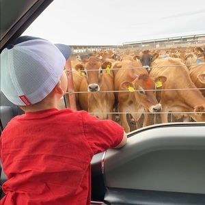 Meet your Posher, Jody